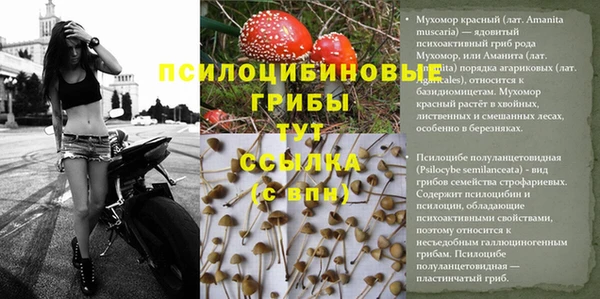 твердый Алексин