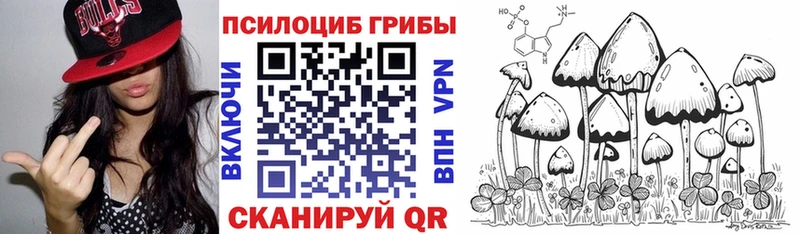 Галлюциногенные грибы прущие грибы  как найти   Лукоянов 
